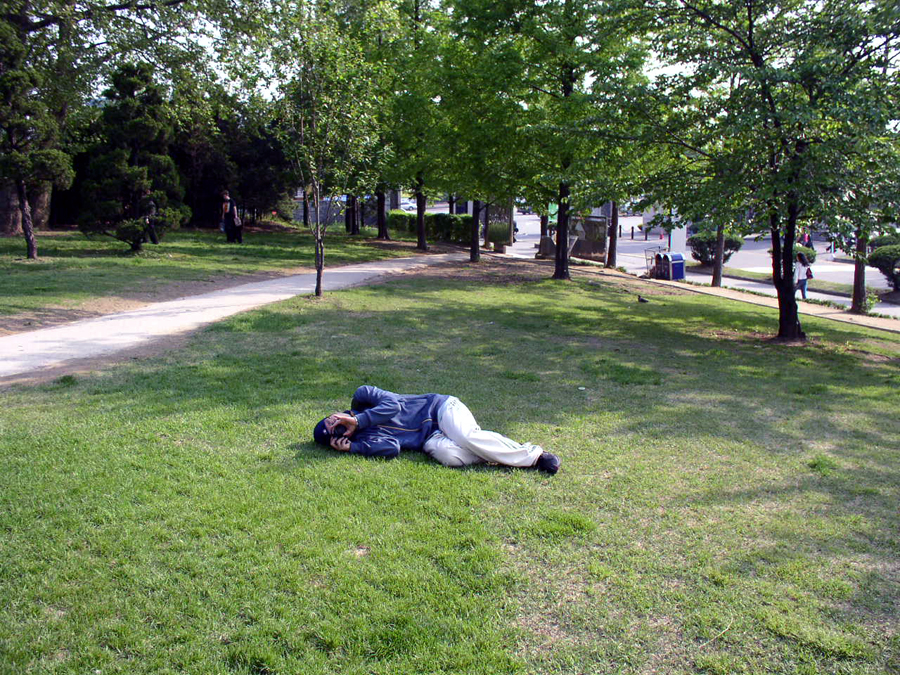2525245.jpg